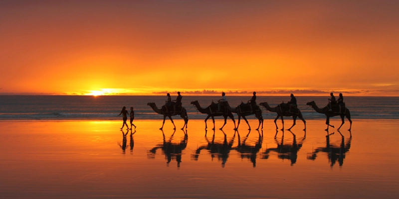 Météo à Agadir - Balade à dos de chameaux sur la plage d’Agadir au coucher du soleil, avec reflets dorés sur le sable humide et ciel orangé spectaculaire.